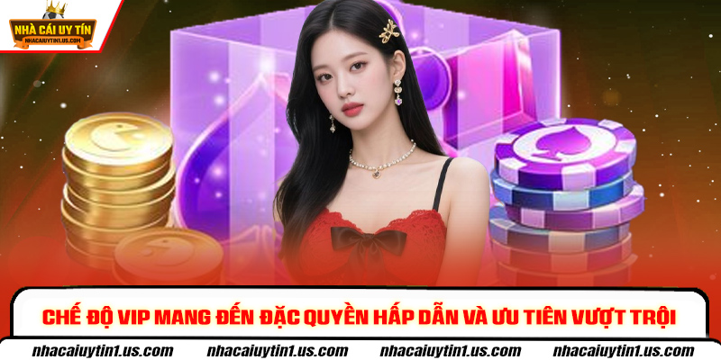 Chế độ VIP mang đến đặc quyền hấp dẫn và ưu tiên vượt trội