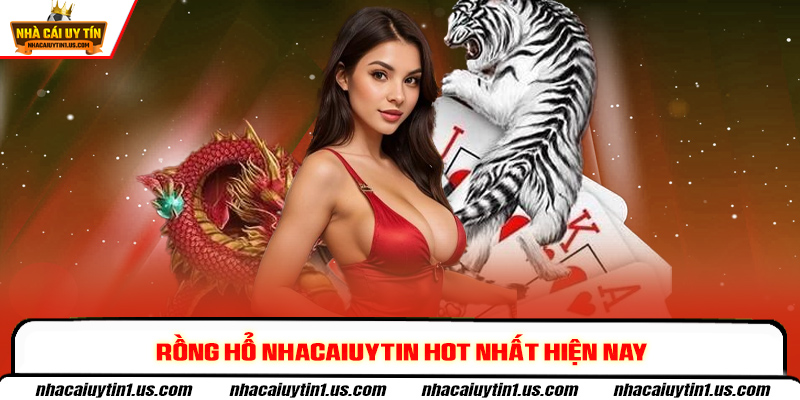 Rồng Hổ Nhacaiuytin hot nhất hiện nay